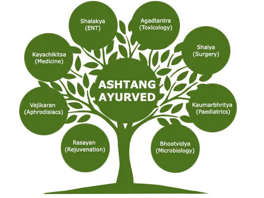 Ayurveda Branches