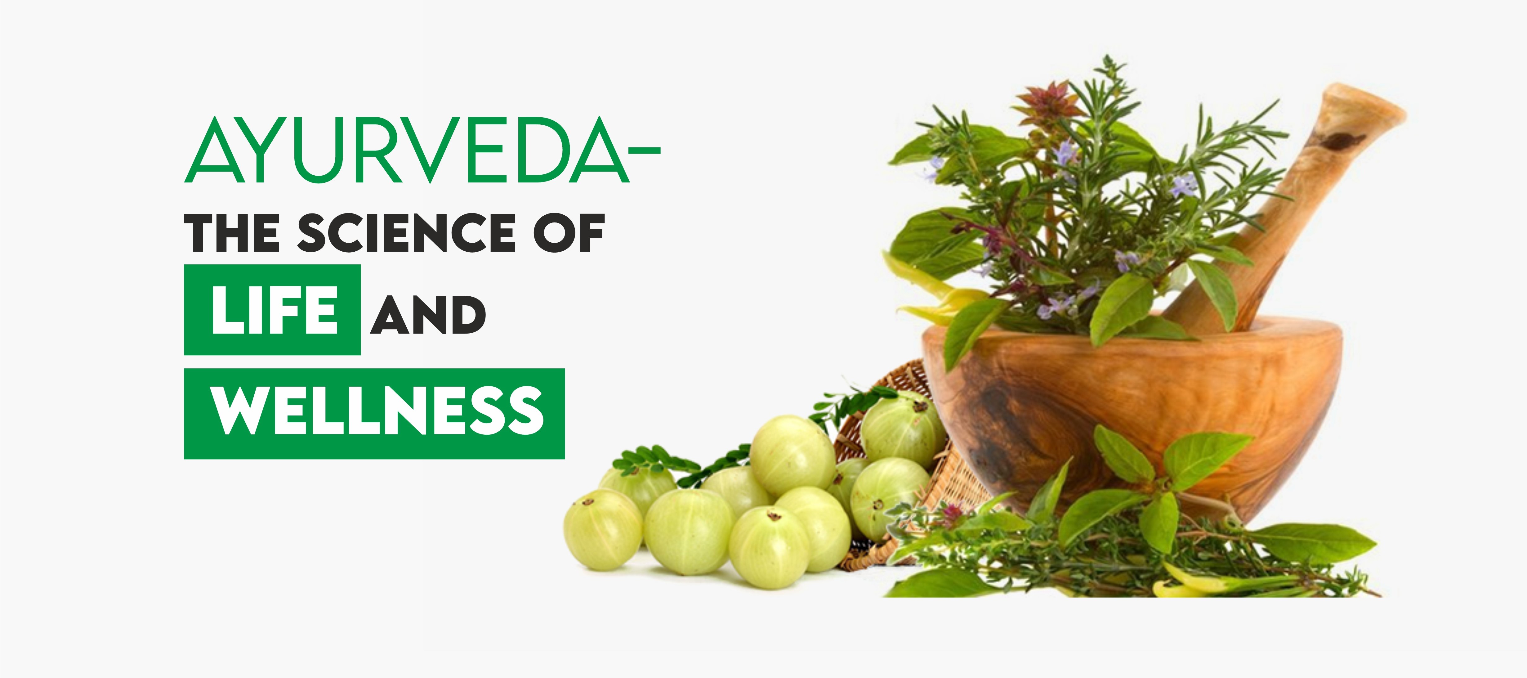 Ayurveda Branches