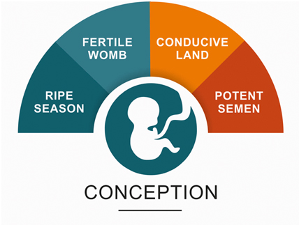 Dysfunctional Uterine Bleeding