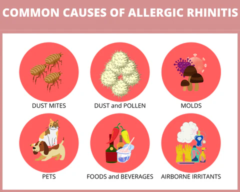 allergic_rhinitisth