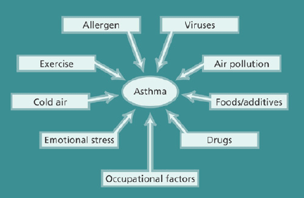 Symptoms of Asthma