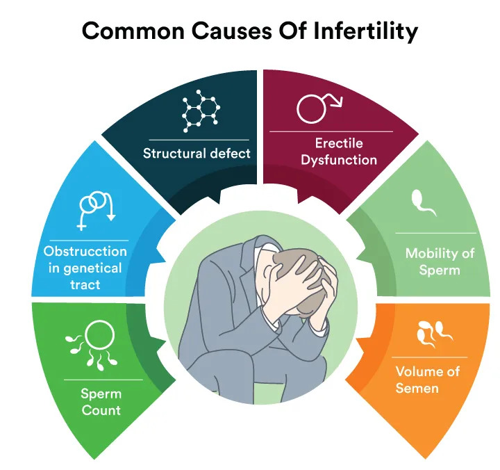 Male-sterility-causes